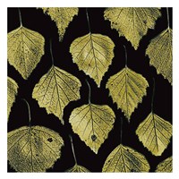 Green Leaves Fine Art Print