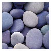 Purple Pebbles Fine Art Print