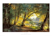 Deer in a Forest Fine Art Print