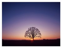 Sundown Fine Art Print