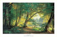 Deer in a Forest Fine Art Print