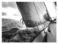 Waves Fine Art Print