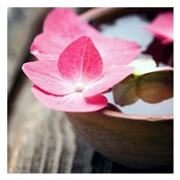 Zen Bowl Fine Art Print