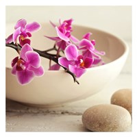 Zen Pebble II Fine Art Print