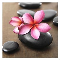 Zen Pebbles II Fine Art Print