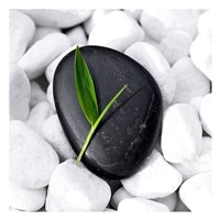 Zen Stone Fine Art Print