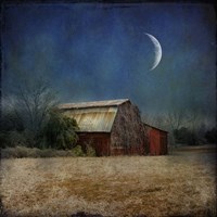 In the Land of Cotton Fine Art Print