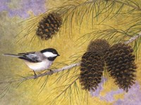 Chickadee in the Pines I Fine Art Print