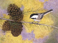 Chickadee in the Pines II Fine Art Print