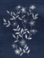 Flower Cyanotype I Fine Art Print