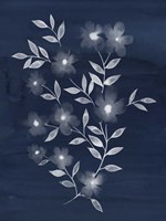 Flower Cyanotype II Fine Art Print