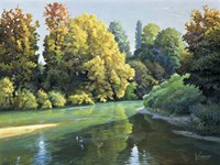 Fiume Tra I Boschi Fine Art Print