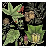 Graphic Botanical Grid III Framed Print