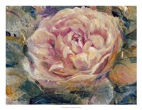 Floral in Bloom IV Fine Art Print