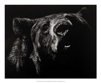 Scratchboard Critic Fine Art Print