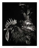 Scratchboard Tyrant Fine Art Print