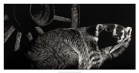 Scratchboard Tenacious Fine Art Print