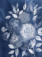 Cyanotype Roses II Framed Print