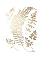 Gold Foil Ferns IV Fine Art Print