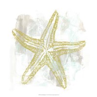 Seaside Blockprints IV Framed Print