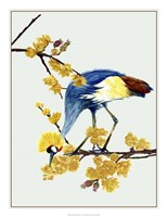Chimonanthus Praecox I Fine Art Print
