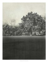 Morning View II Framed Print