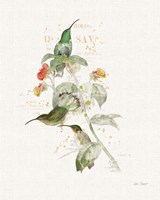 Colorful Hummingbirds III Framed Print