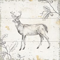 Wild and Beautiful VI Fine Art Print