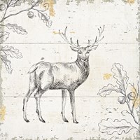 Wild and Beautiful V Fine Art Print