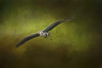 Great Blue Heron In The Grove Fine Art Print