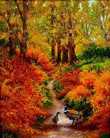 Pheasant Road Framed Print