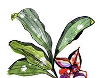 Bee Orchid Fine Art Print