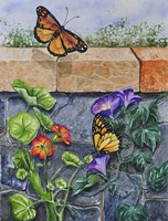Monarchs, Nasturtiums and Morning Glories Fine Art Print