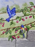 Indigo Bunting and Rainbow Bunting Fine Art Print