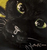 Cat's Eyes Fine Art Print