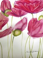 Pink Poppies Fine Art Print