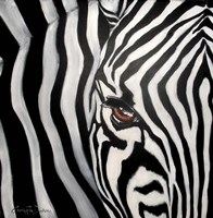 Zebra Face Fine Art Print