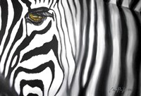 Zebra Fine Art Print