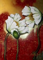 White Poppies on Red Fine Art Print
