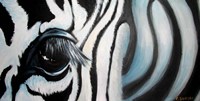 Zebra Fine Art Print