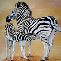 Zebra Bonding Fine Art Print