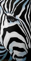 Zebra Long Face Fine Art Print