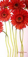 Red Gerberas Fine Art Print
