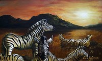 Zebra Sunset Fine Art Print