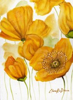Yellow Poppies Fine Art Print
