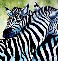 Zebra Love Fine Art Print