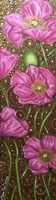 Long Pink Poppies Fine Art Print