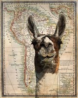 South America Llama Map Framed Print