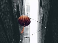 Pop of Color Orange Lantern Fine Art Print