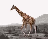 Pop of Color Lone Giraffe Fine Art Print